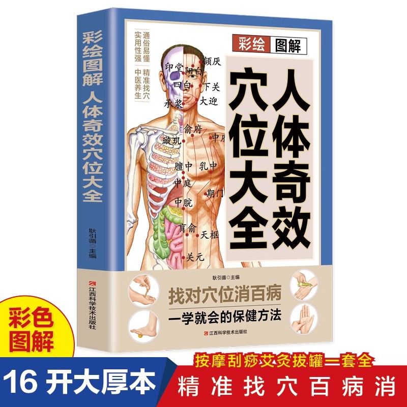 Health & Wellness Japan 2026 - Akupunktur Noktası Masajı ve Geleneksel Çin