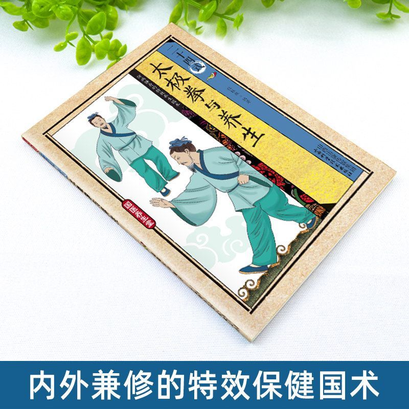 24 Stil Tai Chi ve Sağlık Egze - Health & Wellness Japan 2026 incelemesi ve fiyatı