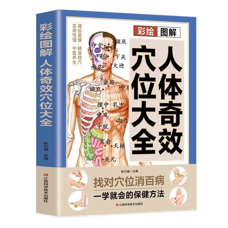 Akupunktur Noktası Masajı ve G - Health & Wellness Japan 2026 incelemesi ve fiyatı