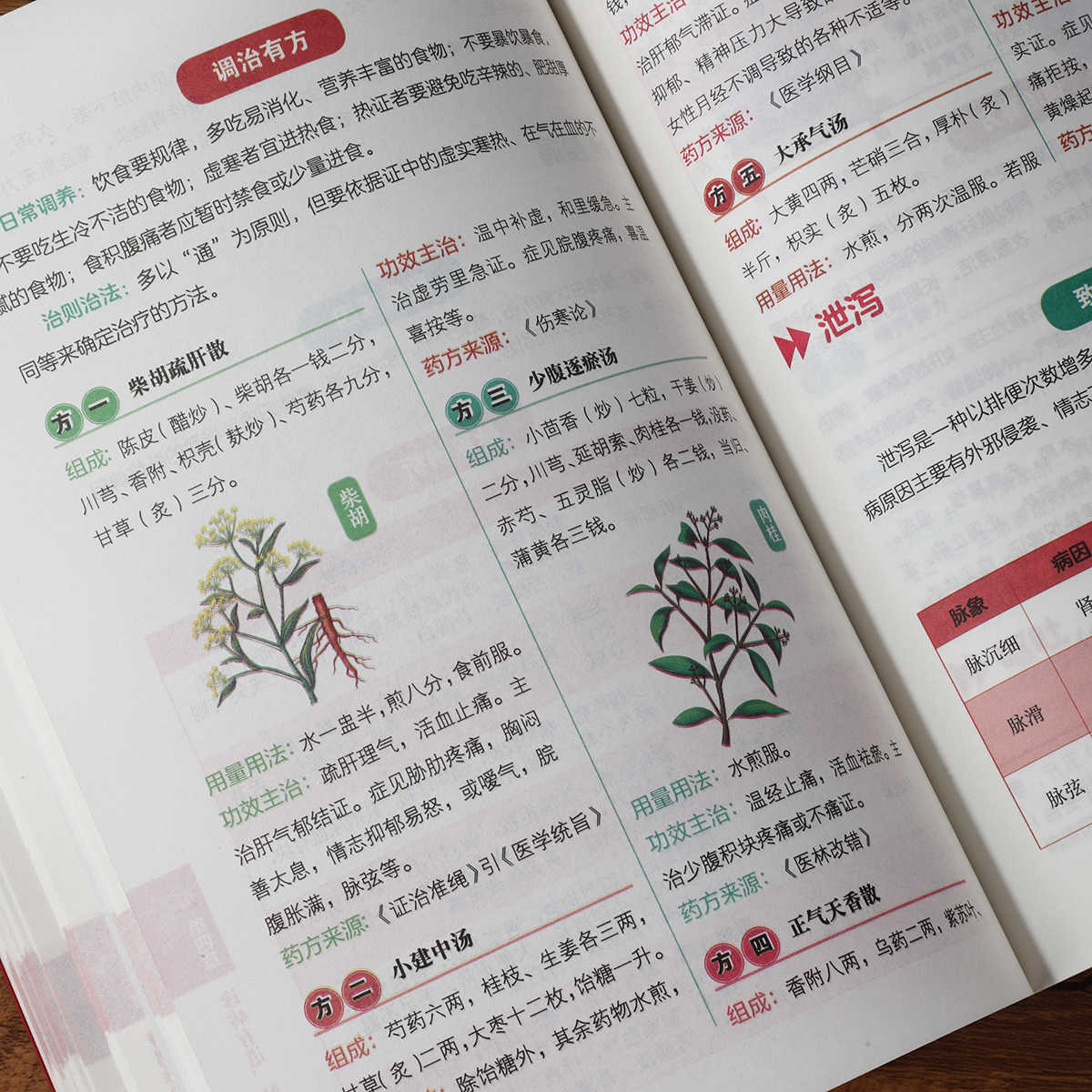 Nabız Teşhisi Bireysel Çalışma - Health & Wellness Japan 2026 incelemesi ve fiyatı